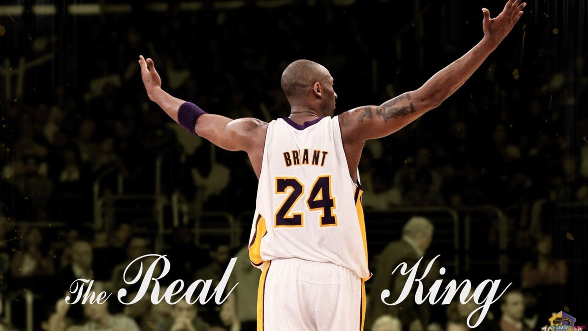 “费尔南多·比亚尔巴：阿根廷橄榄球的新时代表现”